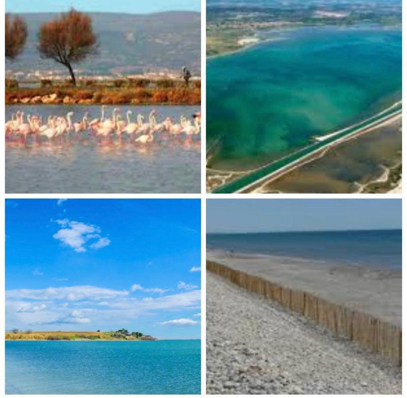 Camping L'Europe Hotel วิค-ลา-การ์ดิโอล ภายนอก รูปภาพ